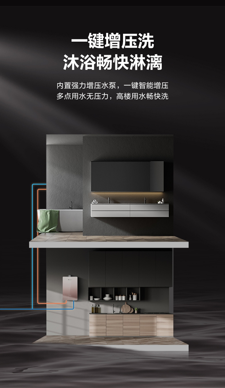 彩页4.jpg