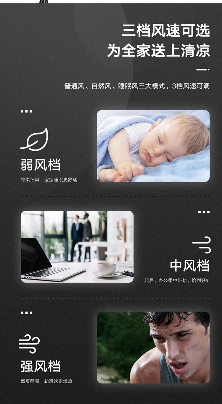 彩页4.jpg